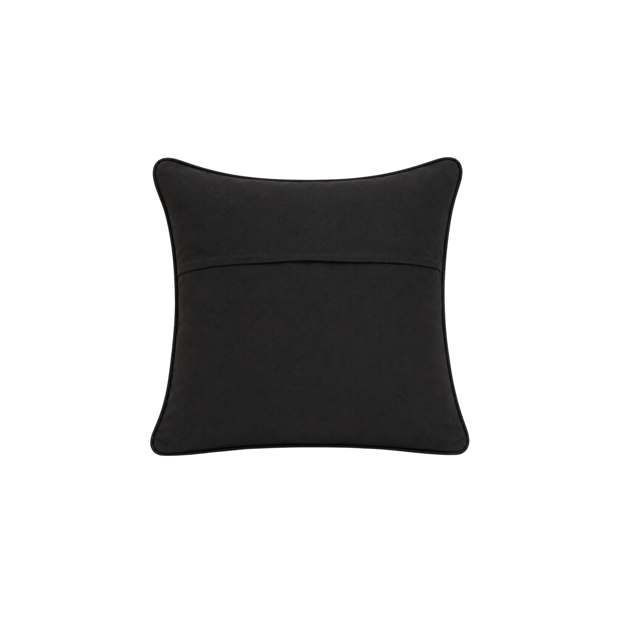 Lunar Earth Cushion